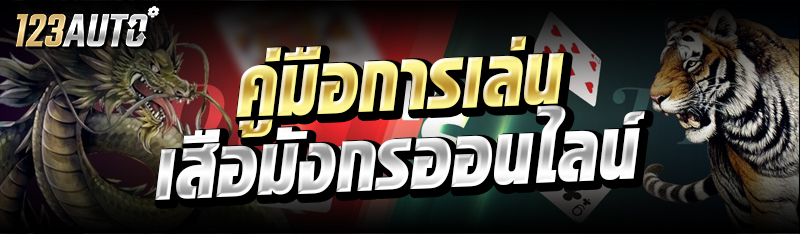 คู่มือการเล่น เสือมังกรออนไลน์