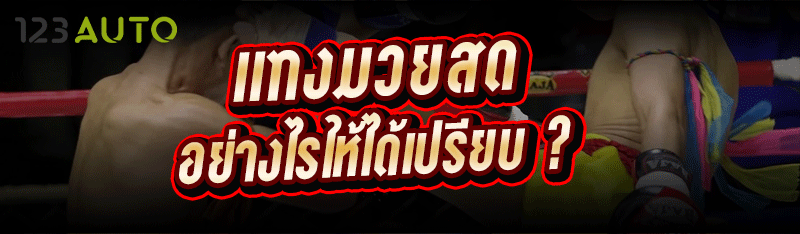 แทงมวยสด อย่างไรให้ได้เปรียบ ?